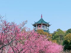 -无锡梅园公园
