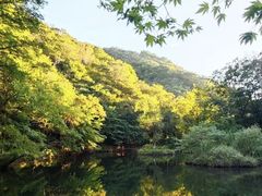 -昆山城市生态森林公园