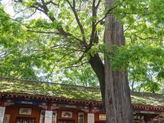 -少华山国家森林公园