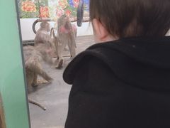 -西安秦岭野生动物园