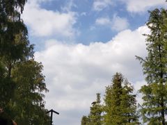 -广富林郊野公园