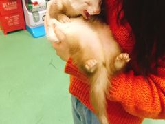 -藦茜花园宠物主题亲子互动体验馆(国顺东路店)