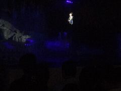 -横店影视城梦幻谷园区