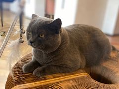 -Me Coffee下午茶艺术空间