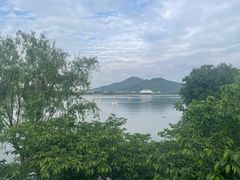 -鸡鸣汤包(复地活力广场店)
