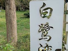 -白鹭湾湿地公园