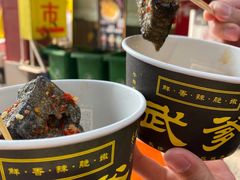 -武爹臭豆腐(坡子街店)