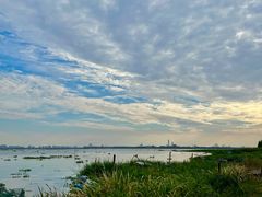 -莲花岛景区