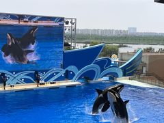 -上海海昌海洋公园