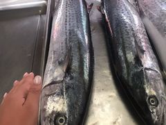 -登州市场(登州路店)