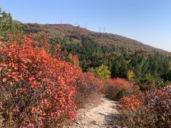 -北京西山国家森林公园