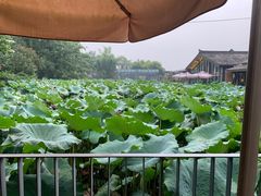 -莫催咖啡