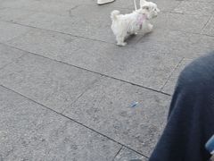 -雷米健身Z·Fitness