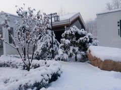 -黄金寨原生态旅游区
