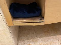 -北京园博大酒店