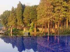 -白云湖畔酒店-湖畔餐厅