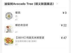 -油梨树AVOCADO TREE(顺义新国展店)