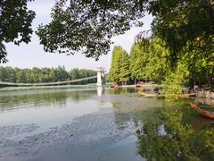 -东湖落雁景区