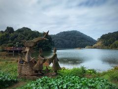 -广州市石门国家森林公园