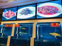 -峨嵋酒家总店(车公庄店)