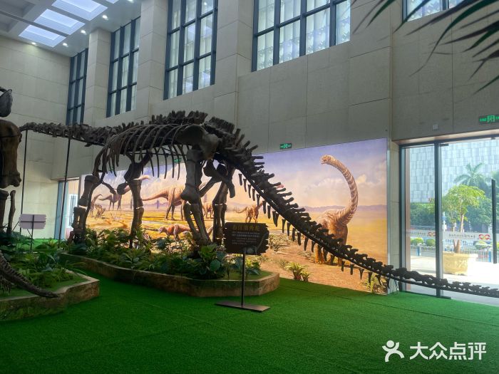 广西壮族自治区博物馆图片