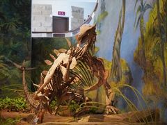 -自贡恐龙博物馆