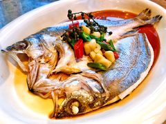 椒麻鲈鱼-绿茶餐厅(崇文门新世界店)