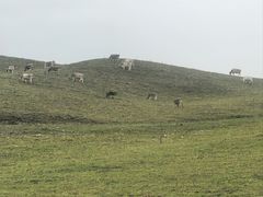 -新疆那拉提国家旅游度假区