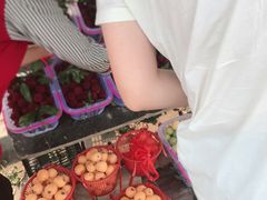 -西山樟坞健康果园枇杷杨梅采摘