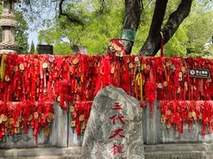 -大槐树寻根祭祖园
