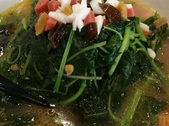 上汤苋菜-刘胖子家常菜·蹄花焖藕(中南店)