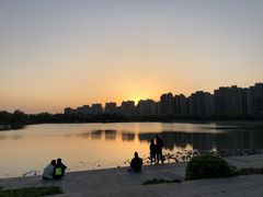 -南翔镇银翔湖公园