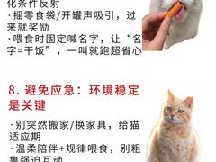 -宠福鑫动物医院·动物疾病诊疗中心(天通苑店)