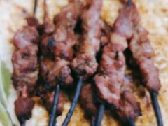 -艾力江和田馕坑烤肉店