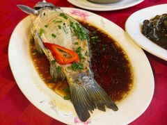 -先鲜鲫鱼粥