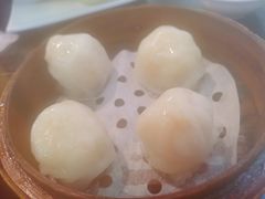 添运来虾饺皇-添运来(茶园奥园广场店)