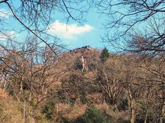 -紫金山山顶公园