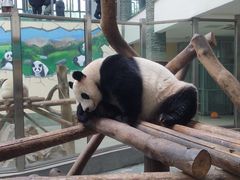 -天目湖御水温泉·度假酒店