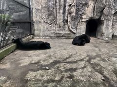 -南昌动物园
