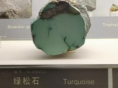-中国地质博物馆