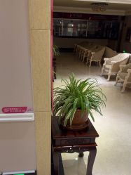 -北京俪婴妇产医院(朝阳大悦城店)