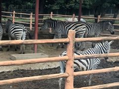 -西安秦岭野生动物园