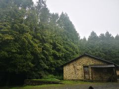 -山王坪喀斯特国家生态公园