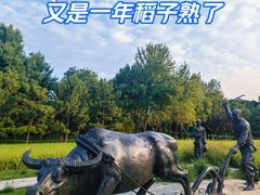 -北坞公园