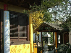-梅村泰伯庙