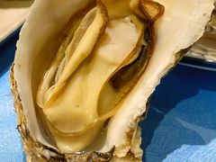 -千岛蚝高压锅生蚝·人参火锅(白云万达店)