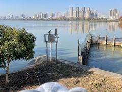 -艾溪湖湿地公园