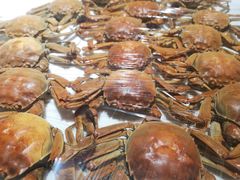 -东方红海鲜百汇(国际大厦店)