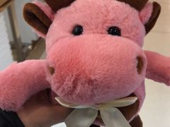 -卜蜂莲花(辽阳西路店)