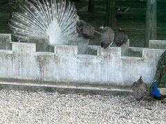 -南京金牛湖风景区